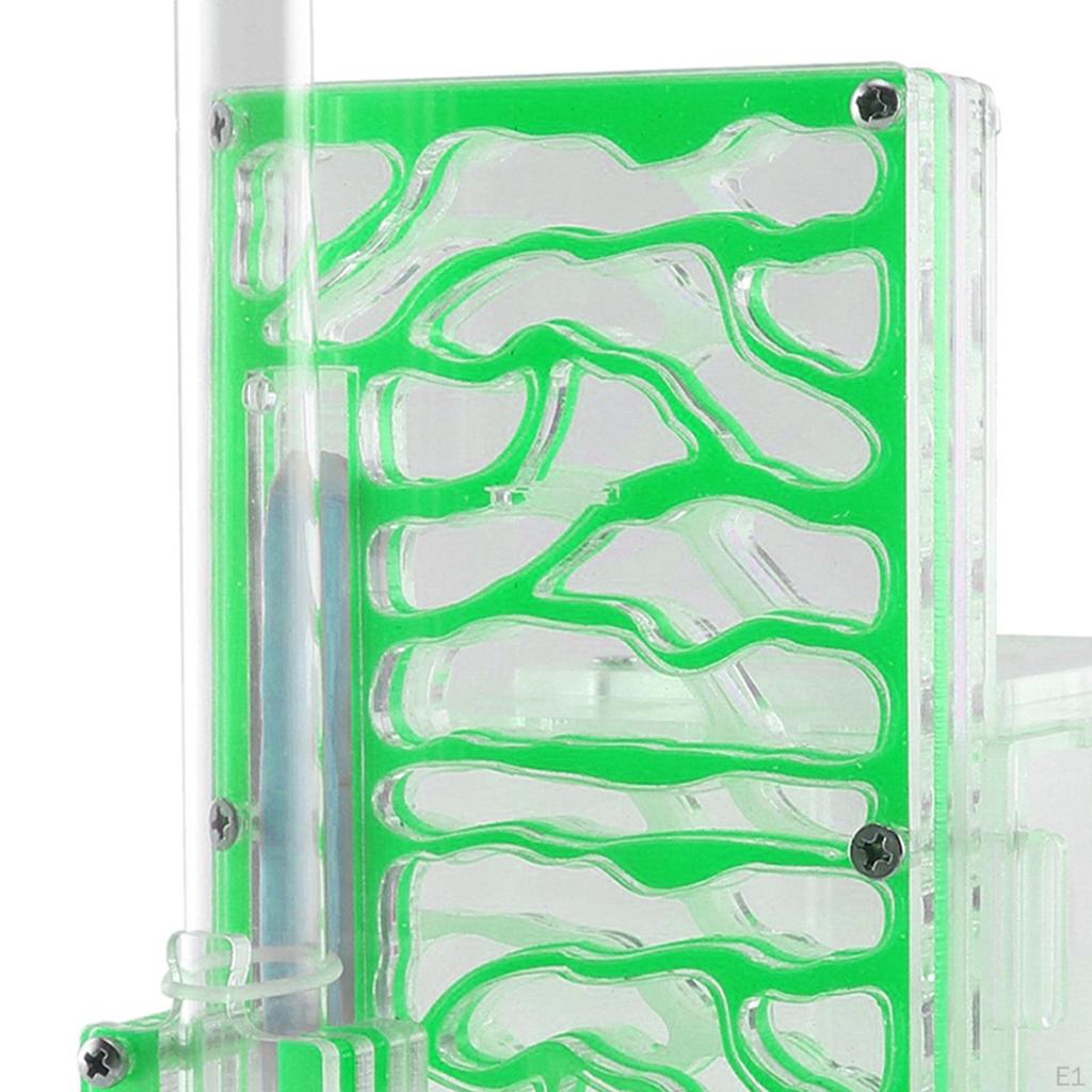 Compact DIY Moisture Nest Box for Science Observation Living Room Home Kitchen