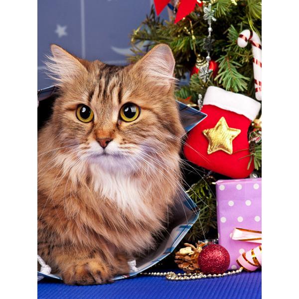 5D Diamond Painting Animal Cat Diamond Embroidery Christmas Cat Cross Stitch Rhinestone Picture Mosaic Set Christmas Home Decor
