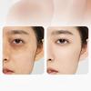 6PCS Makeup Brush Eye Shadow Lip Brush Foundation Make-up Brush Concealer Blade Brush Nose Shado/ Stipple Brush Detail Brush Set