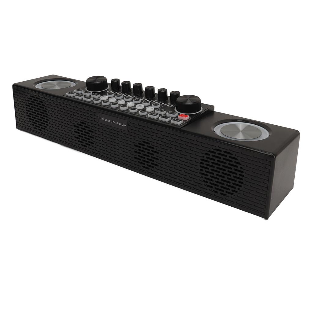 Karaoke Machine Wireless Live Sound Card All in One Speaker Home Outdoor Portable Bluetooth Speaker with Microphone