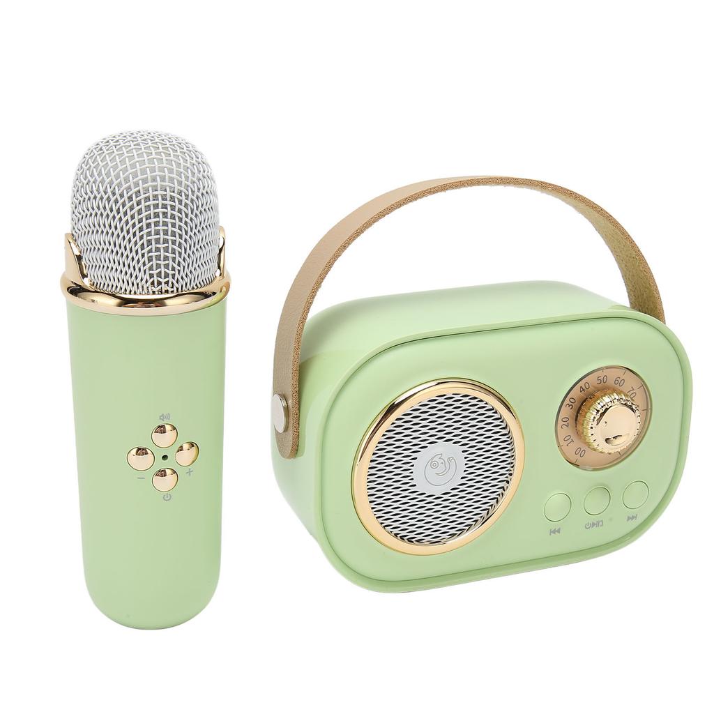 Wireless Bluetooth Speaker with Microphone Portable Rechargeable Mini Mics Speaker Set for Home