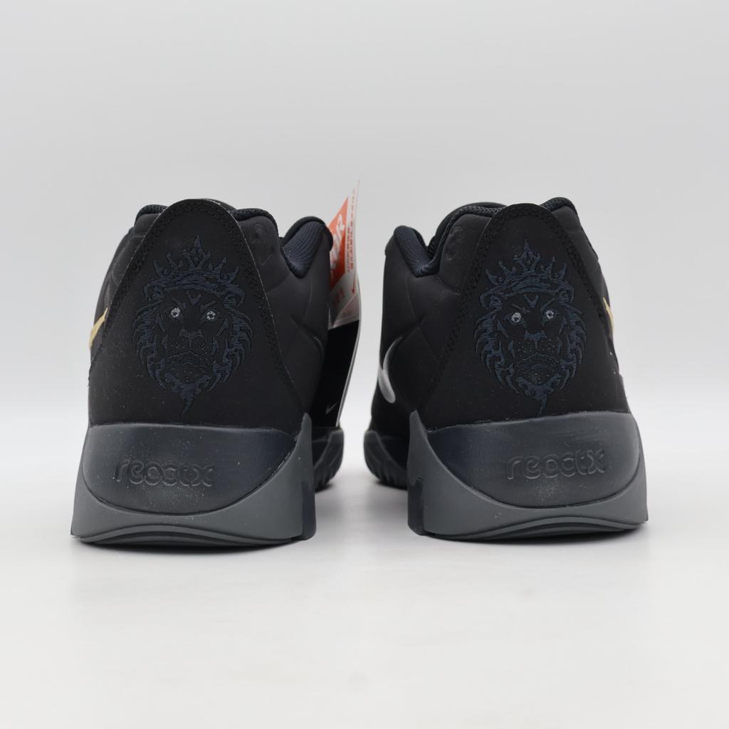 HQ8035-003 Nike LeBron Witness IX EP Black Iron Grey (Men's)