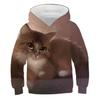Boys Girls Cute Cat 3D Print Hoodie Children Hooded Pullover Sweatshirt Fashion Child Hoodies Kids Casual Tops Clothing