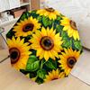 Accesorii – Umbrele