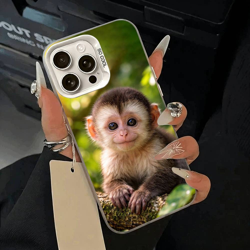 C-Cute Funny Monkey Phone Case For iPhone 11 12 13 14 15 16Pro Max Plus white Sliver  Phone Cover