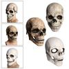 Maschera Teschio Realistica con Mascella Mobile Spaventosa Decorativa Casco in Lattice Casco Scheletro per Cosplay Costume Outdoor Adulto Carnevale