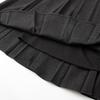 2025 Autumn/Winter High-Waist Black Pleated A-Line Mid-Length Skirt