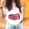 Fashionable Jeans Belt with Buckles All-Matched Design Western Cowgirl Waist Belt Star Rivets Punk Wide Belt Decorations