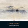 Wuthering Heights by Emily Bronte Paperback Book 9780141439556
