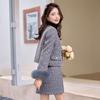 Down Suit Skirt Autumn and Winter New Small Temperament Socialite Fox Skirt