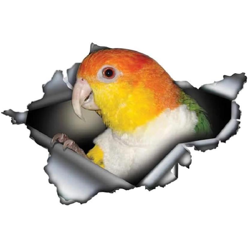 EARLFAMILY 5.1   Cockatiel Parrot Lovely Bird Car Sticker Sunscreen Decal Laptop Motorcycle Car Accessories  Decal Style B