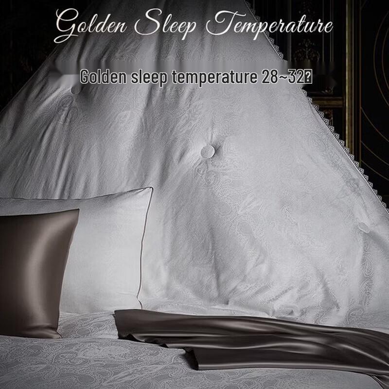 Aimei Home 100% Mulberry Silk Winter Quilt