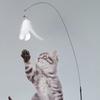 Interactive Cat Toys Feather Wand with Super Suction Cup Detachable 2 PCS Feather Replacements Kitten Play Toy