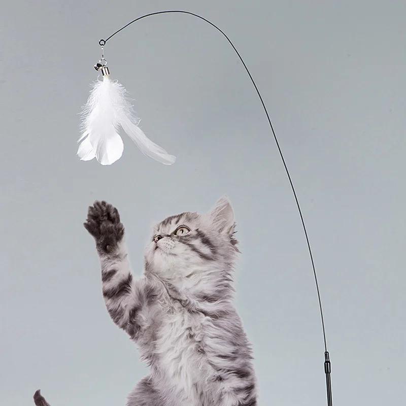 Interactive Cat Toys Feather Wand with Super Suction Cup Detachable 2 PCS Feather Replacements Kitten Play Toy