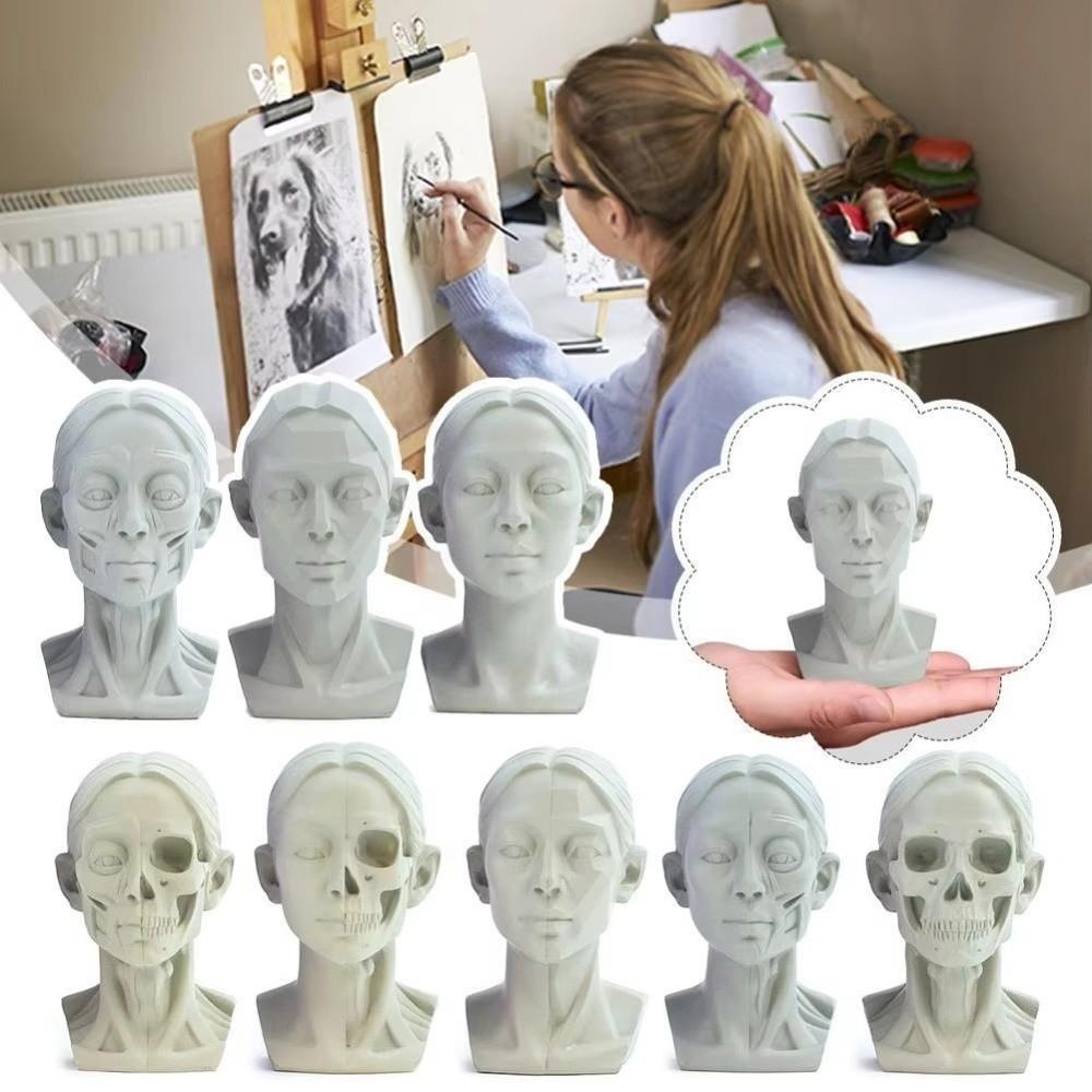 Still Life Ornament Planar Head Model Resin Skecthing Painting Sculpture  for Art Beginner