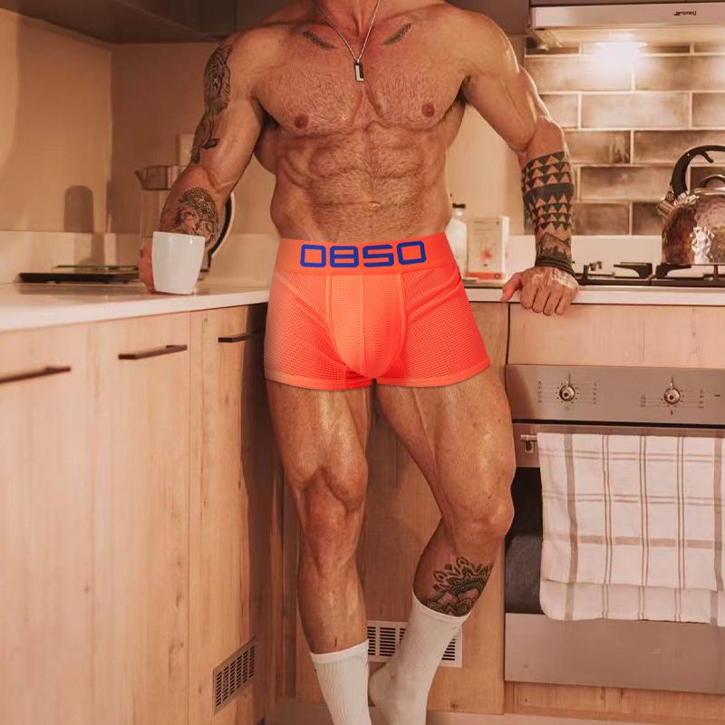 Men's Sexy Mesh Butt-Lifting Low-Rise High-Cut Briefs (BS834)