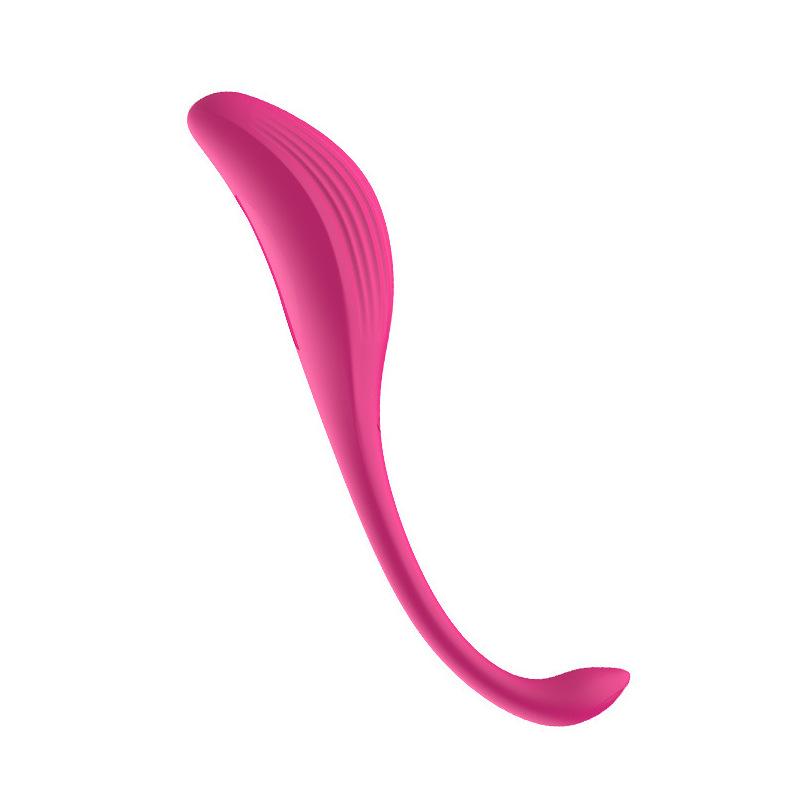 Vibrator Wireless App Sex Toys For Women Wear Vibrating Egg G Spot Clit Couple Dildo