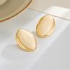 Resin Oval Studs Earrings for Women Geometric Fashion Jewelry Ear Accessories for Casual and Formal Occasions
