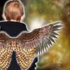 Birds Costume Set Owl Mask Owl Wing Animal Owl Costume Set Owl Half Face Mask Halloween Mask Party Favors for Kids