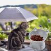 Tilted Cat Food Bowl Elevated Cat Bowl Ergonomic Cat Food Dish Anti Vomiting Raised Cat Food Bowl With Tilted Edge