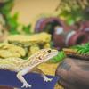 Kleine Reptilien Heizmatte Multifunktional Weich USB Tragbar Haustier Terrarium Wärmematte für Zuchtbox Käfig