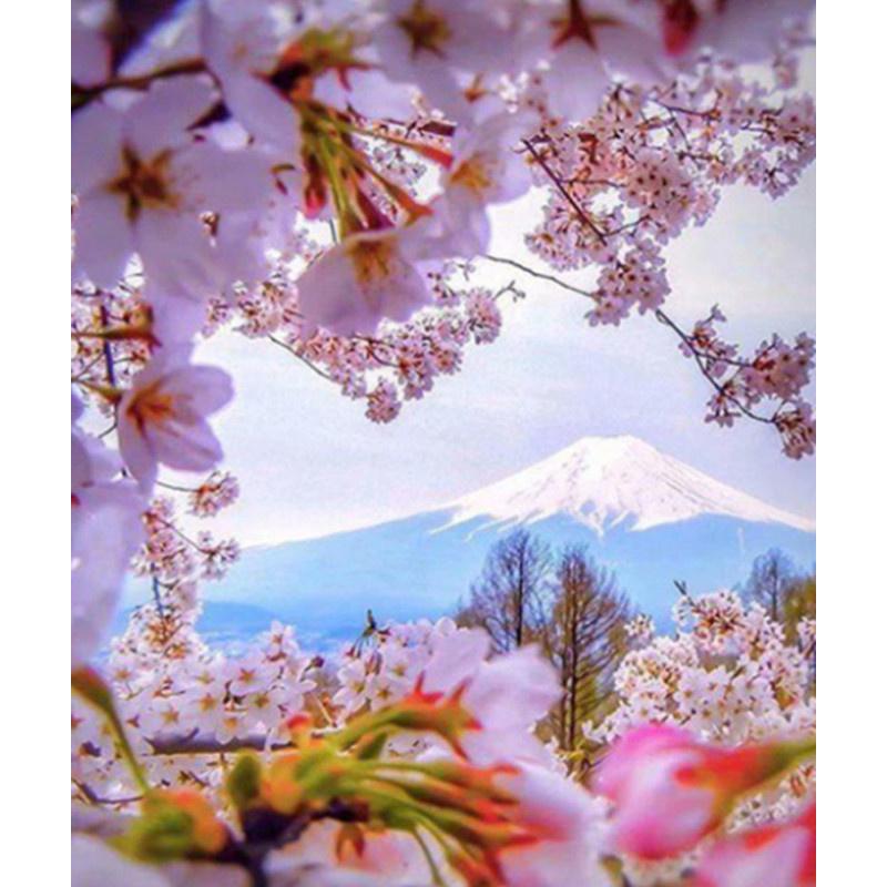 5D DIY Diamond Painting Pretty Butterfly Flower Art Diamond Embroidery Cross Stitch Kit Full Rhinestone Mosaic Home Decor