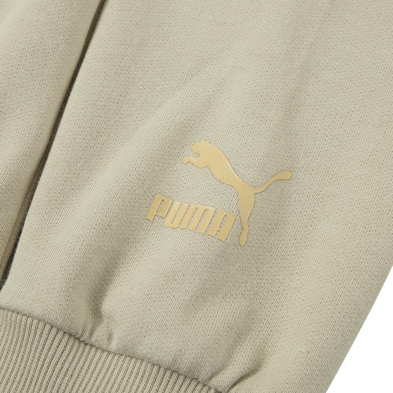 Puma Letter Logo Printed Hooded Casual Long Sleeve American Vintage Sweatshirt Unisex sweatshirt Gray Earth 625822-90