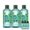 Yvesrocher Moringa Refresh Hair Vinegar Deep Cleansing 400ml 3pcs  +50ml 3pcs 