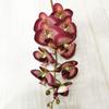 5 Pcs Real Touch Artificial Phalaenopsis Orchid Latex Butterfly Orchid Flowers 9 Heads for Home Floral Decoration