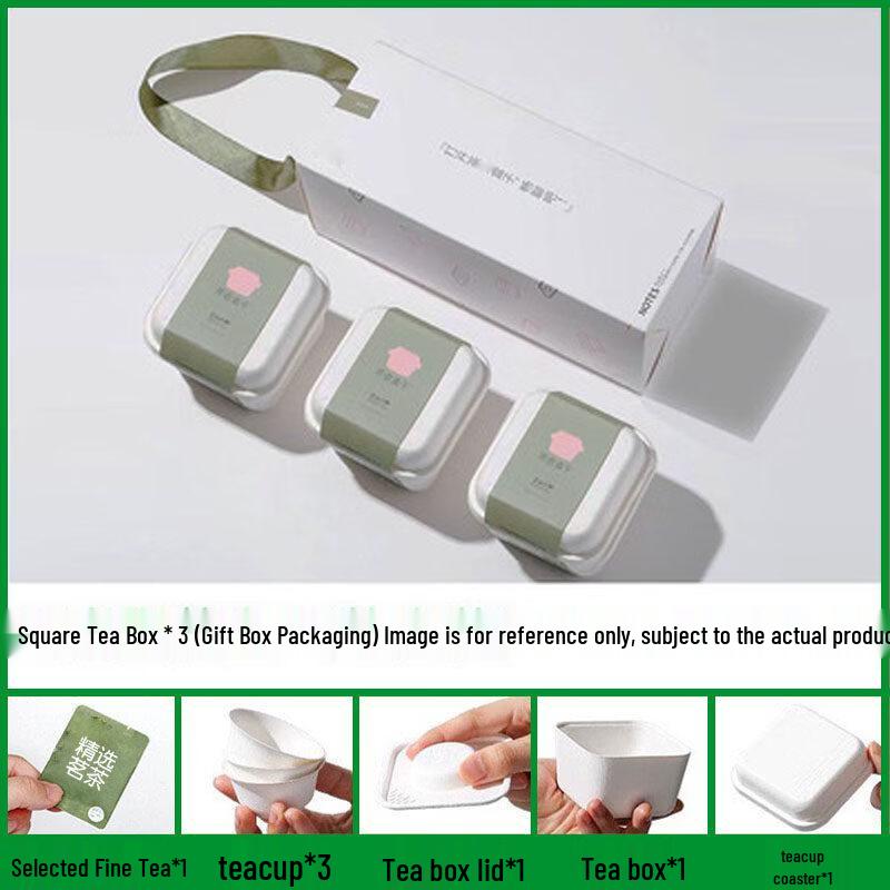 ZISIZ Portable Personal Tea Brewing Box