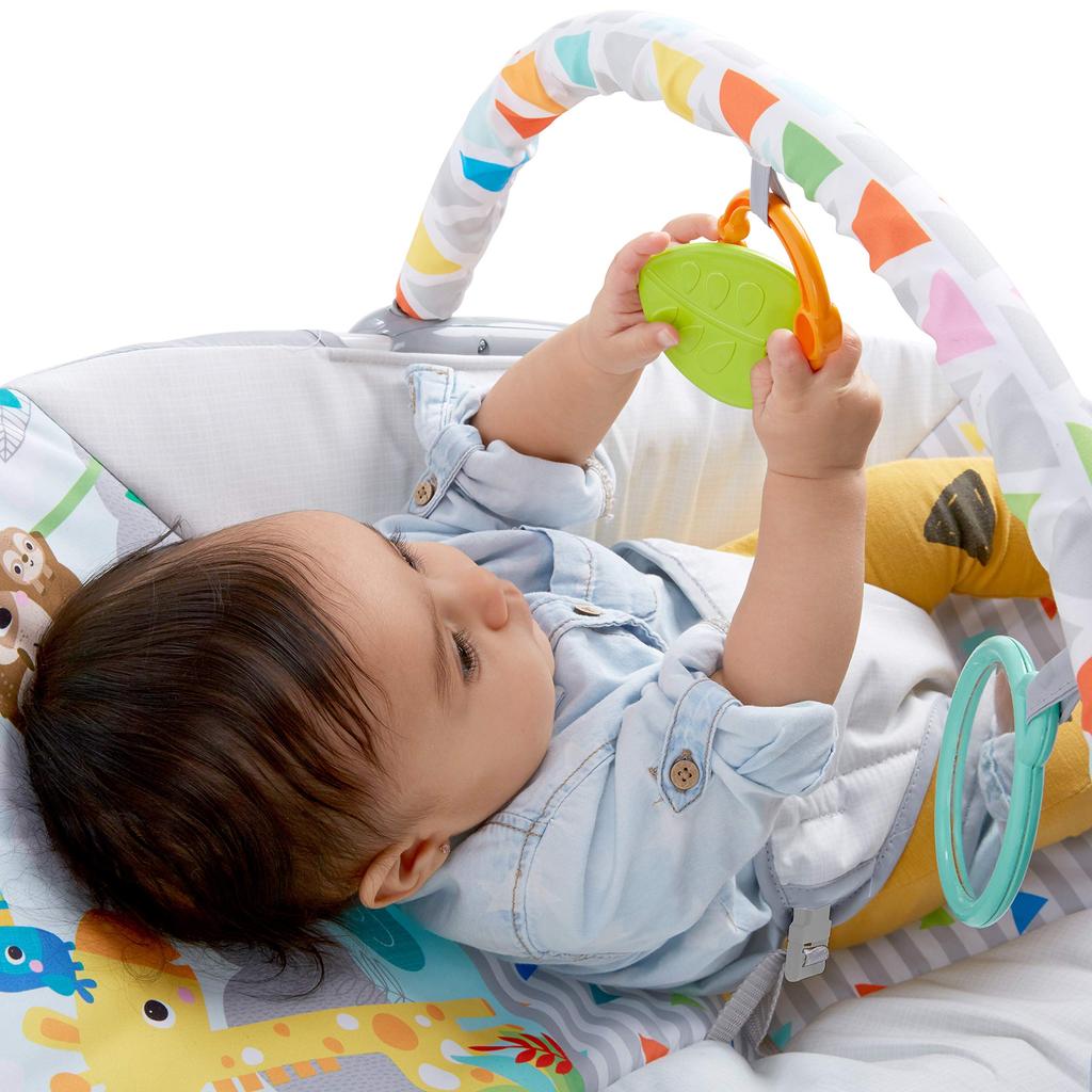 Bright Starts Safari Fun Vibrating Bouncer 12204 (Ages 0+)