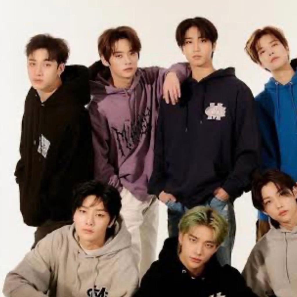 [USED] Stray Kids Wear Mahagrid Purple Hoodie