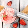 WIKHOSTAR Nonstick Anti-Freeze Ice Cream Scoop 1.5 Ounces  Spoon Aluminum Design Ice Cream Scooper