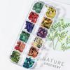 12 Grids Abalone Seashell Nail Art Slices Holographic 3D Mermaid Irregular Nail Art Glitter Flakes Manicure Sparkly Decoration T