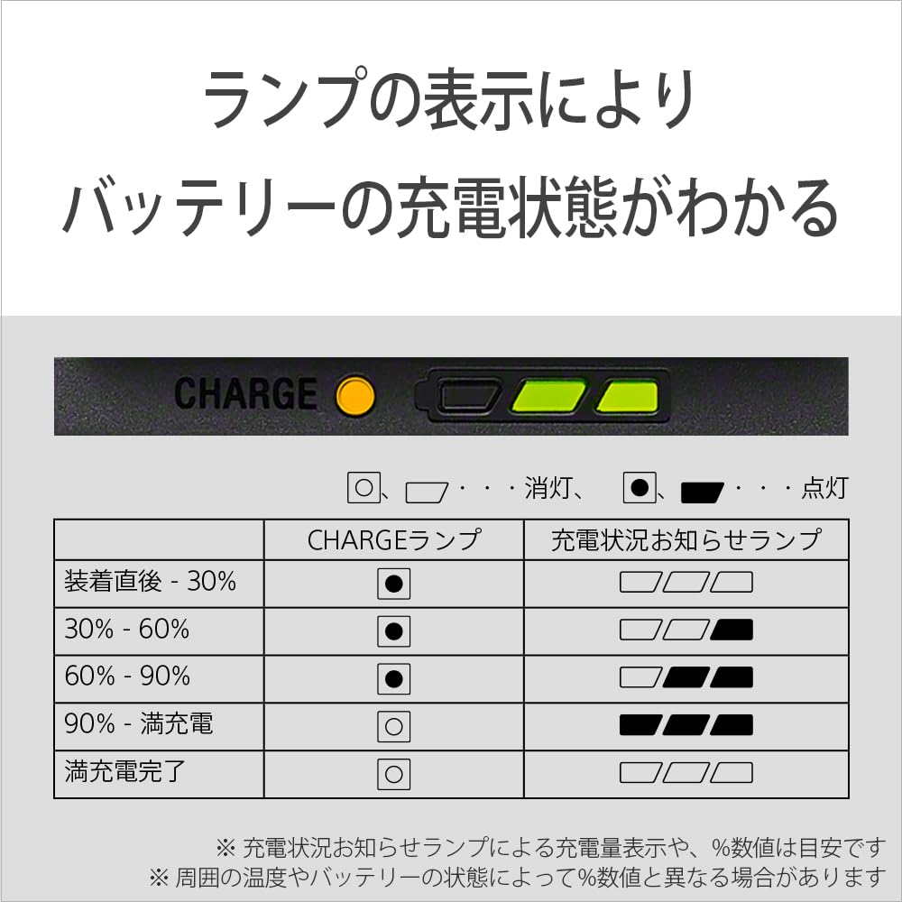 Sony Camera Battery Charger BC-ZD1