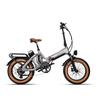 MIHOGO ONE Utility EBIKE 48V13AH+48V 16AH Akku, 750W Motor