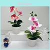 Sommerfuglorkidé Kunstig Blomst Med Realistisk Design For Hjemmeinnredning Og Fotobruk