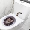 Playful Kitten Toilet Seat Sticker Waterproof Self-Adhesive Removable Decal for Bathroom WC Decoration