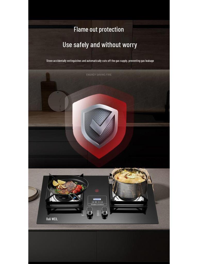 Weili Double Burner Gas Stove: Built-in/Portable, Natural Gas & LPG Compatible, High-Power Nine-Chamber Cooktop.