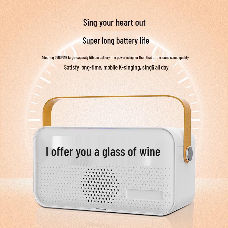 Karaoke Y8 Portable Wireless Bluetooth Speaker with Mic & Lyrics Display for Kids