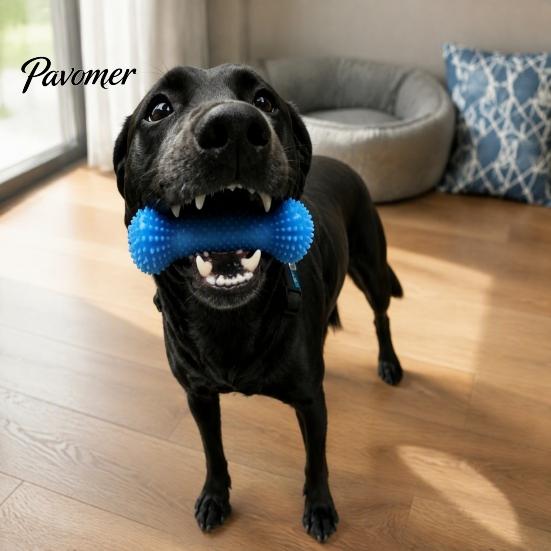 Dog Calculus Remover Tooth Brushing Helper, Pet Dental Prop Chewable Toy, Dual-Action Canine Oral Easy Mouth Opener for Dogs Care Tool Cleaning Teeth,