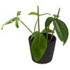 DAGW1-R624 HANGING POT WITH HOOK AND BOW TERRACOTTA PRODUCTION POT HANGING BALCONY ROUND WITH HOOK for flowers