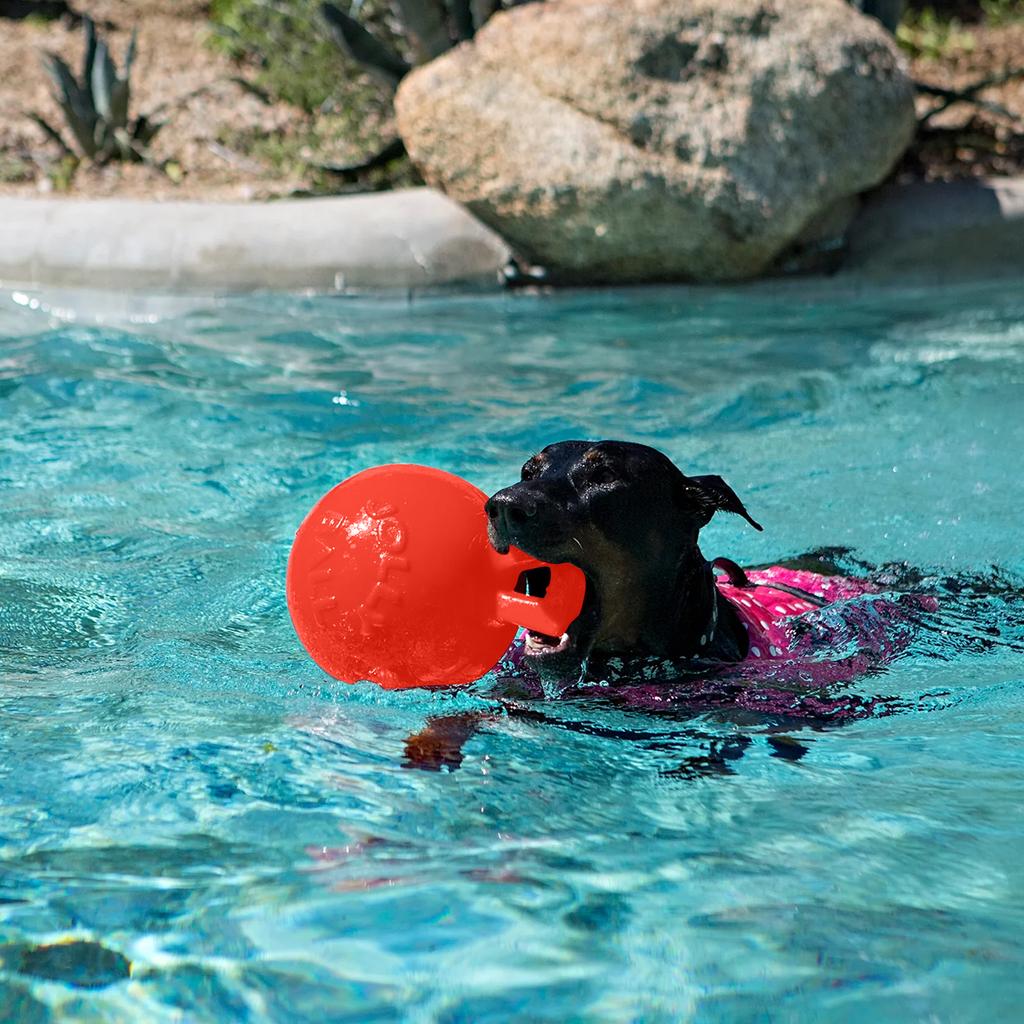 Jolly Pets Tug-N-Toss Dog Toy