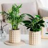 Self-Absorbing Flowerpot with Transparent Water Level Indicator Self Watering Planter with Bubble Texture Double-Layer Design for Indoor Plants