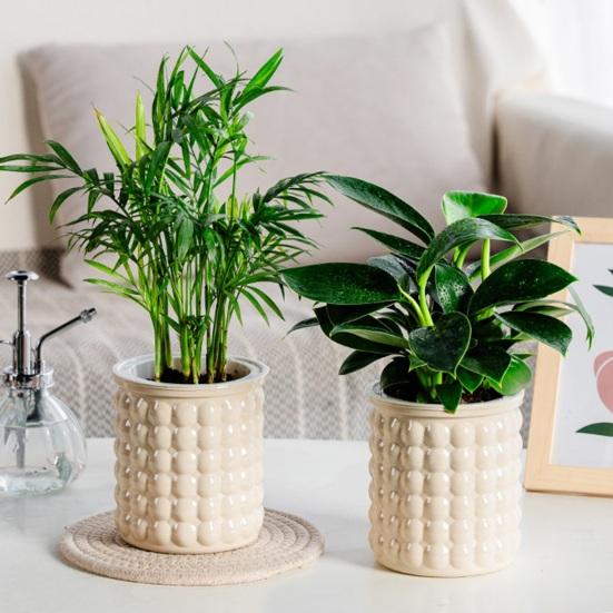 Self-Absorbing Flowerpot with Transparent Water Level Indicator Self Watering Planter with Bubble Texture Double-Layer Design for Indoor Plants