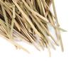 100pcs Barbeque Party Decoration Bar Tool Bamboo Knot Skewers Fruit Forks Cocktail Picks Stick