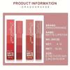 2pcs Mini Velvet Matte Lipstick Set 4-in-1 Long-Lasting & Moisturizing Lip Stain Smudge-proof Effortless Application Ultra-Portable Lip Gloss