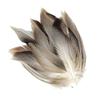 50Pcs Feathers for Fly Tying Fly Wing Tail Material Feathers Fly Tying Supplier for Cosplay Party Wedding Activities Carnival