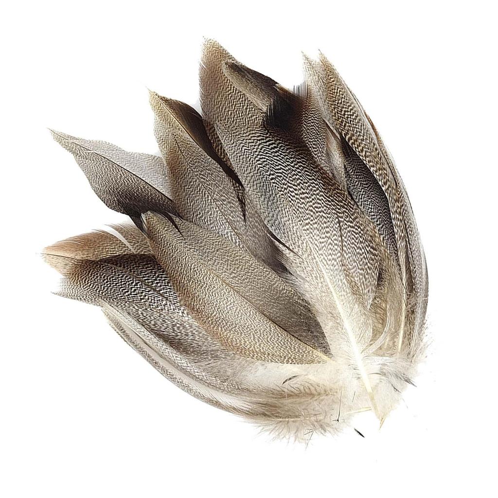 50Pcs Feathers for Fly Tying Fly Wing Tail Material Feathers Fly Tying Supplier for Cosplay Party Wedding Activities Carnival