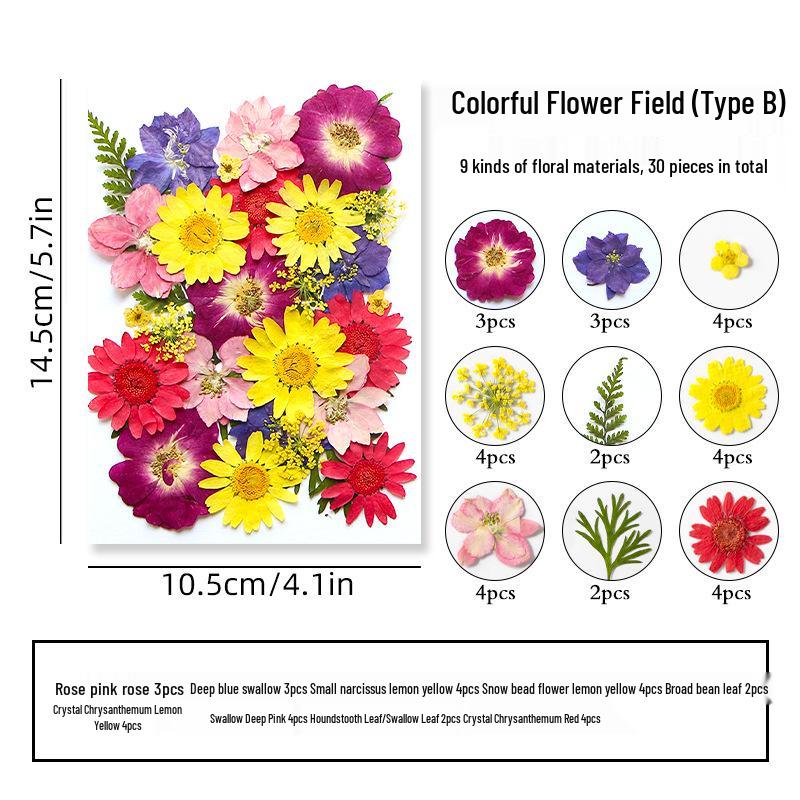 DIY Dried Flower Specimen Sticker Set for Kids: Handmade Pressed Flower Frames & Resin Bookmark Craft Kit